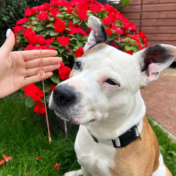 Collier Portrait de Mon Compagnon