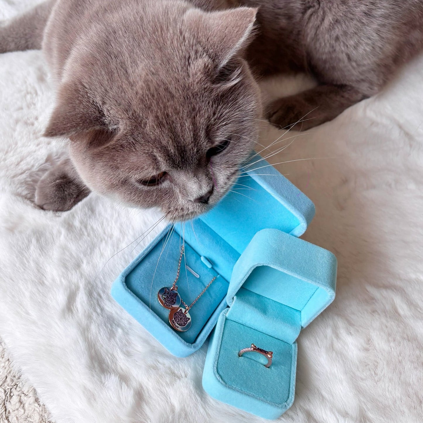 Collier Portrait de Mon Compagnon